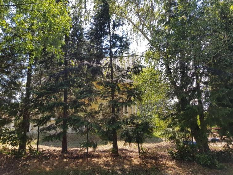 Tóparti Vendégház - Lipót, Magyarország Esterno foto